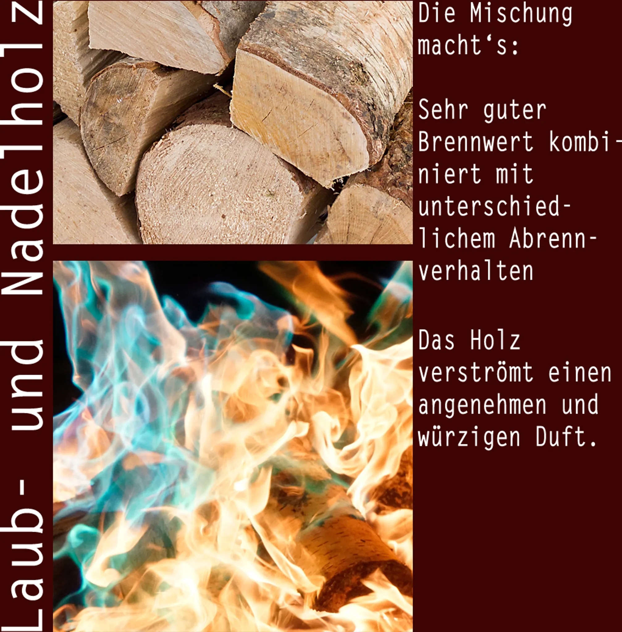 Gemischtes Brennholz 500 kg – Buche, Eiche, Birke, Kiefer, Fichte, 25 cm 5